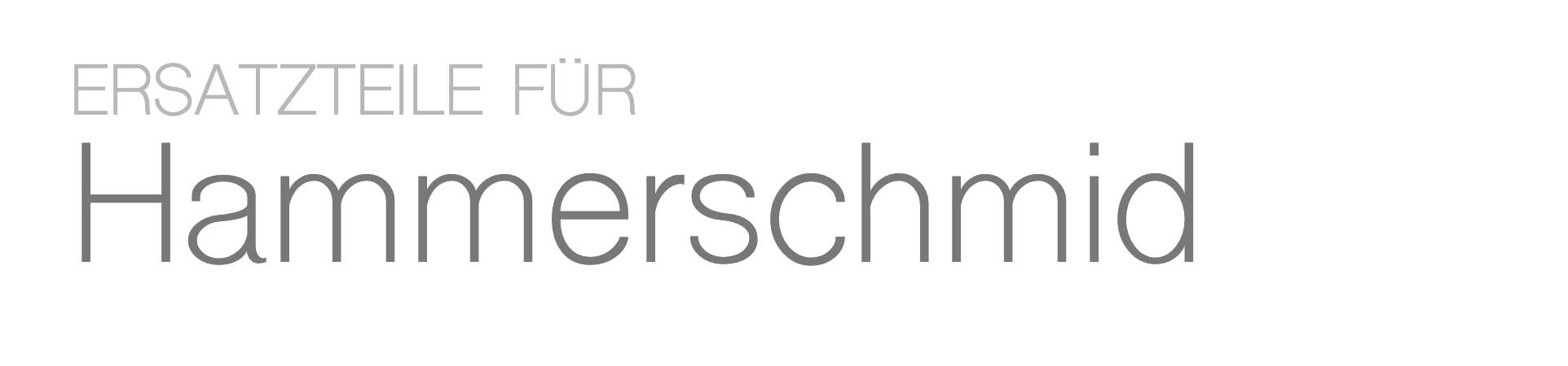 Hammerschmid Hammerschmid