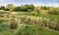 Preview: Woodland Scenics - WFG174 - Field Gras / Hohes Grass zum selbst „mähen“ - Mittelgrün (8g)