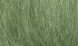 Preview: Woodland Scenics - WFG174 - Field Gras / Hohes Grass zum selbst „mähen“ - Mittelgrün (8g)