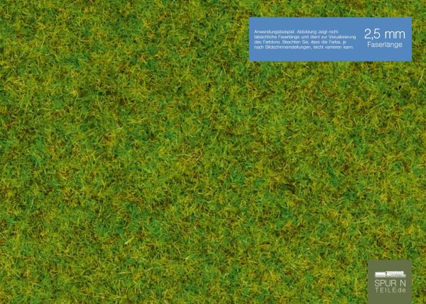 Noch - 08300 - Streugras "Frühlingswiese" 2,5 mm, 20 g