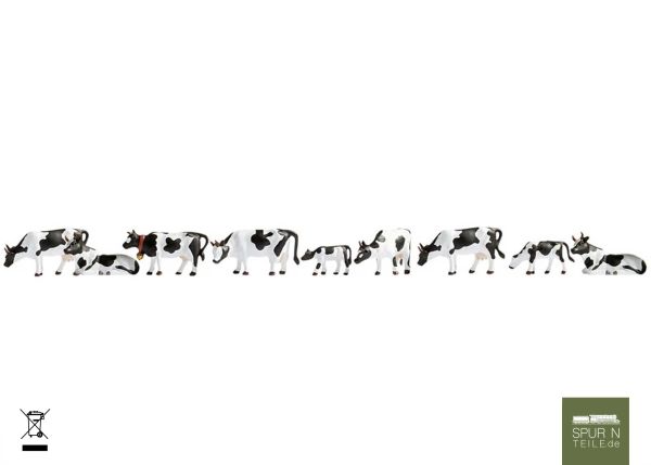 Noch - 36721 - Kühe, schwarz-weiß