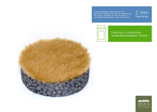 RTS - 70402 - Gras-Flock Herbstgras 2 mm (50g Behälter)