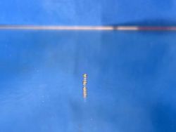 Kato - U111 - Z01-0716 - Feder