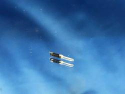 Liliput LINT 27 - L63103-335-1-LO - Lichtleiter oben