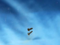 Liliput LINT 27 - L63100-399-1-F - Schraube für Führerstand