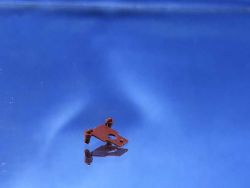 Minitrix - D020 / Isolator für Pantograph