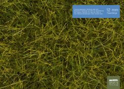 Noch - 07110 - Wildgras “ Wiese” 12 mm, 40 g Beutel