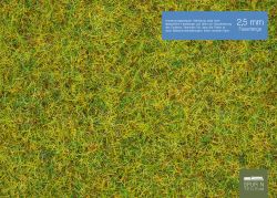 Noch - 08310 - Streugras "Sommerwiese" 2,5 mm, 20 g